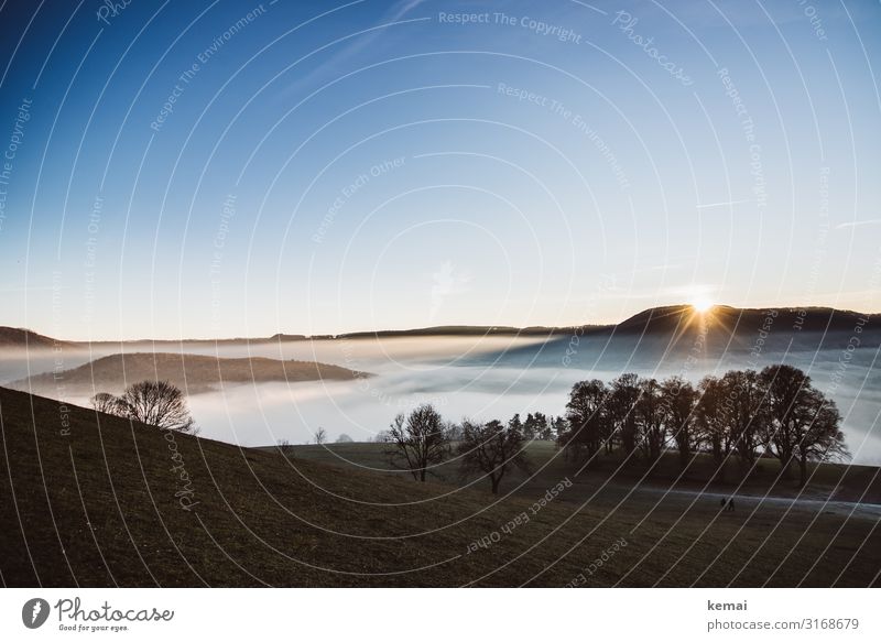 Evening with fog and sun at the Albtrauf (Swabian Alb) Swabian Jura Sunset Fog tree Landscape rural Idyll hillock Hilly landscape Nature natural beauty