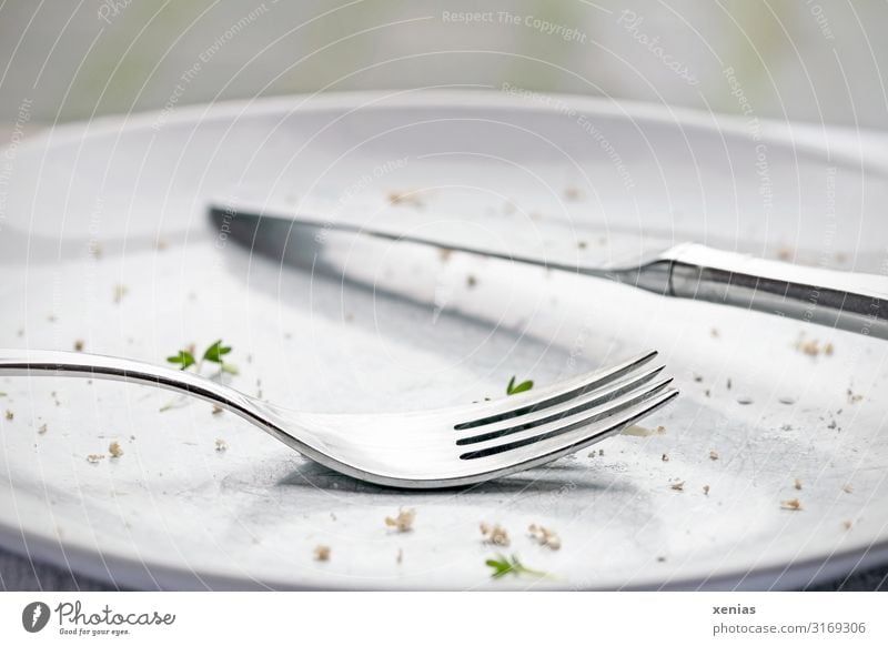 light empty eaten plate with knife and fork Plate Cutlery Knives Fork Cress Breadcrumbs Nutrition Eating Diet Fasting Green Silver White Gluttony Appetite