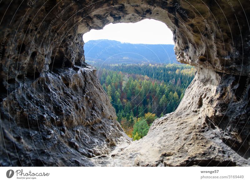 farsighted | Saxon Switzerland Vacation & Travel Trip Far-off places Nature Landscape Horizon Autumn Beautiful weather Mountain Cave Looking Cool (slang)