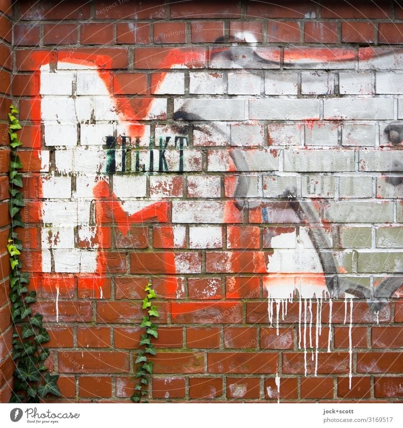 Offence M Subculture Street art Fern Wall (barrier) Brick Graffiti Trashy Red Moody Colour Creativity Change Offense Word Stencil letters Typography Weathered
