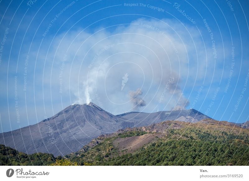Etna² Nature Landscape Elements Sky Cloudless sky Summer Forest Hill Rock Mountain Peak Volcano Mount Etna Sicily Exceptional Blue Gray Green Threat Action