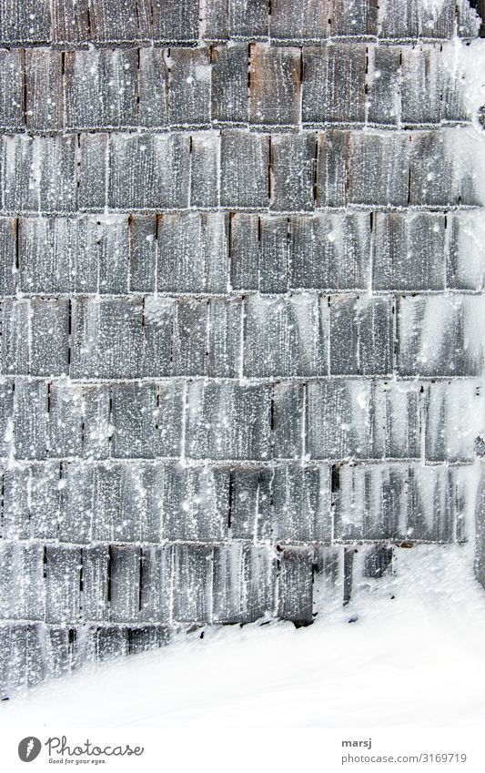 sugared shingles Winter Ice Frost Snow Wall (barrier) Wall (building) Wooden wall Roofing tile shingle wall Exceptional Dark Sharp-edged Together Uniqueness