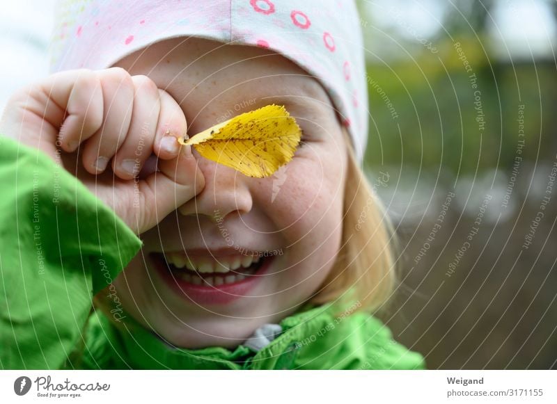 A child plays in the autumn leaves and is happy Face Parenting Kindergarten Child Girl Smiling Laughter Exterior shot Copy Space right