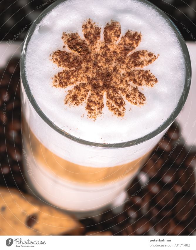 coffee with beans and cinnamon Hot Chocolate Coffee Latte macchiato Glass flower To enjoy Colour photo Studio shot Close-up Detail Macro (Extreme close-up) Day