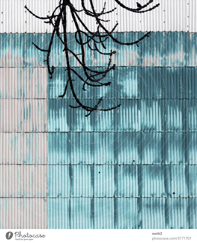 denim House (Residential Structure) Wall (building) Long shot Wall (barrier) Wall cladding Metal Detail Colour photo Washed out Turquoise Gray