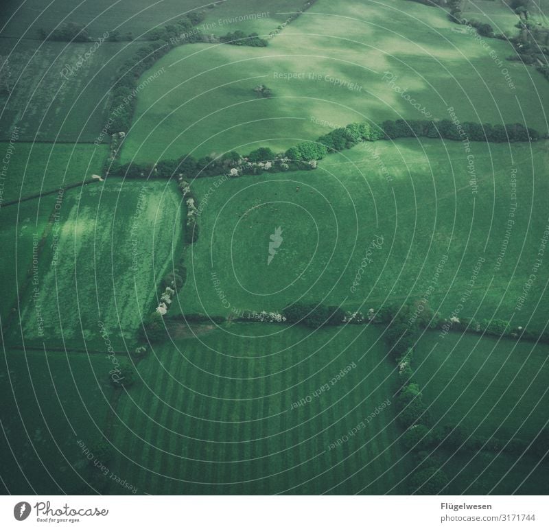 Field & Meadows Aerial photograph drone Green Airplane Flying Aviation Vantage point Landscape Farmer Forest