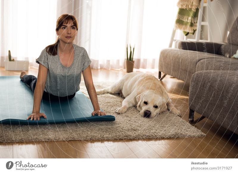 Doing exercise with my lazy dog Lifestyle Style Beautiful Body Face Healthy Health care Athletic Fitness Relaxation Living room Sports Sports Training Yoga