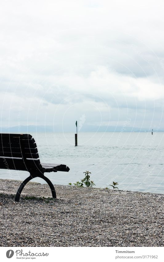 Wet bank in Konstanz Vacation & Travel Environment Nature Elements Water Weather Rain Lakeside Lake Constance Wait Blue Gray Green Black Emotions Break Bench