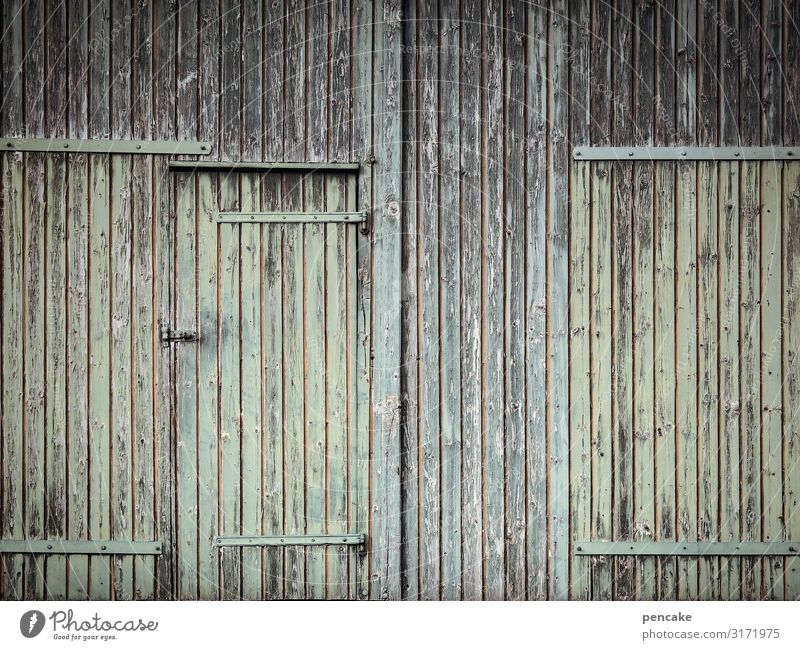 STRUCTURAL CHANGE Hut Building Facade Door Senior citizen Calm Protection Wooden wall Wooden house Wooden board Farm Barn Green Weathered Closed