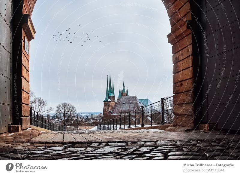 View of Erfurt Cathedral Vacation & Travel Tourism Sky Sunlight Winter Beautiful weather Snow Tree Thuringia Europe Town Deserted Church Dome Tower