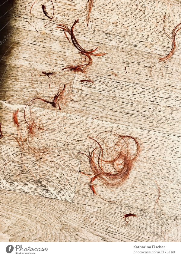 Leave hair Hair and hairstyles Brown Red White Barber shop Living room Haircut Curl Ground Parquet floor Strand of hair Hair colour Hair loss Red-haired