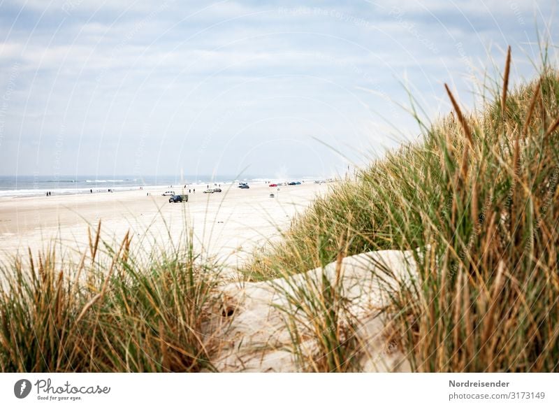 Car beach in Denmark Leisure and hobbies Vacation & Travel Tourism Trip Freedom Camping Summer Summer vacation Beach Ocean Nature Landscape Sand Water