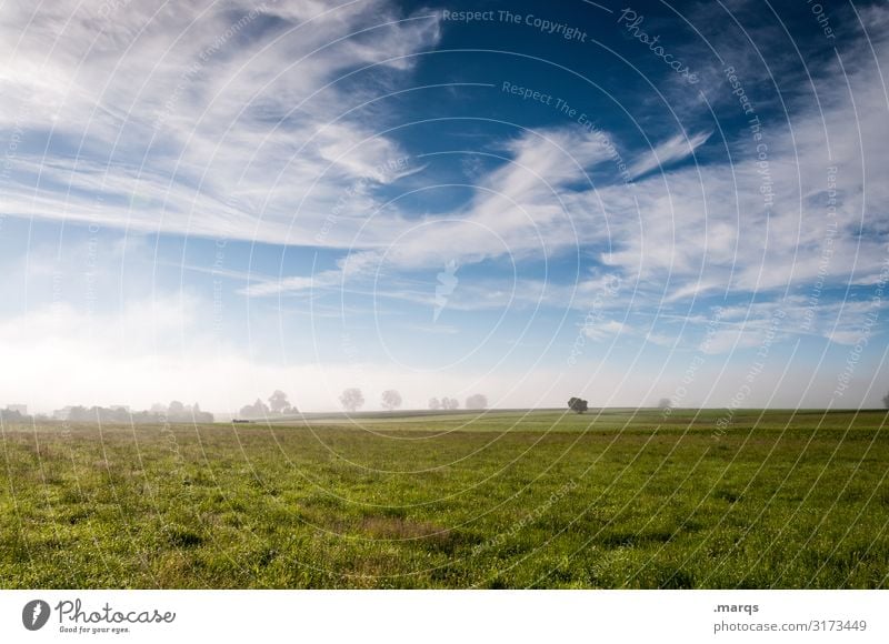 haze Nature Landscape Elements Sky Clouds Spring Summer Beautiful weather Fog Tree Meadow Horizon Relaxation Moody Environment Far-off places Rural