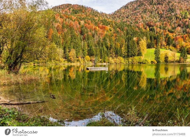 Autumn landscape Leisure and hobbies Vacation & Travel Tourism Hiking Nature Landscape Water Beautiful weather Forest Hill Alps Lakeside
