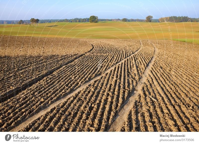 View of a plowed field in warm morning sun Agriculture Forestry Industry Nature Landscape Earth Sky Horizon Autumn Meadow Field Furrow tillage land Farm Rural