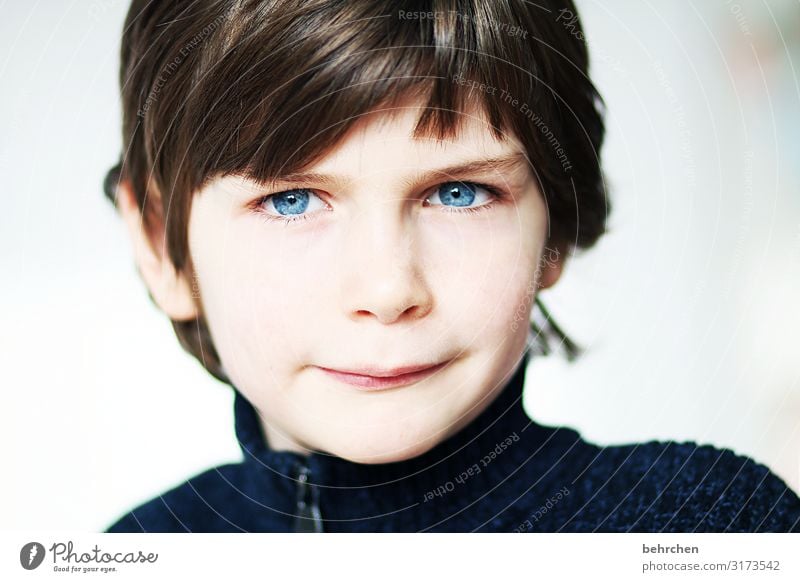 eye contact expectant Dream Love Interior shot observantly Curiosity inquisitorial Colour photo blue eyes Close-up Child Boy (child) Family & Relations Face