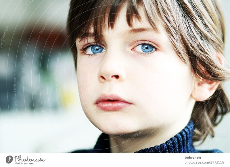 . Love Son portrait Contrast Light Day Close-up Concern Longing Meditative Intensive Earnest Colour photo Interior shot Lips Mouth Eyes Face Infancy Boy (child)