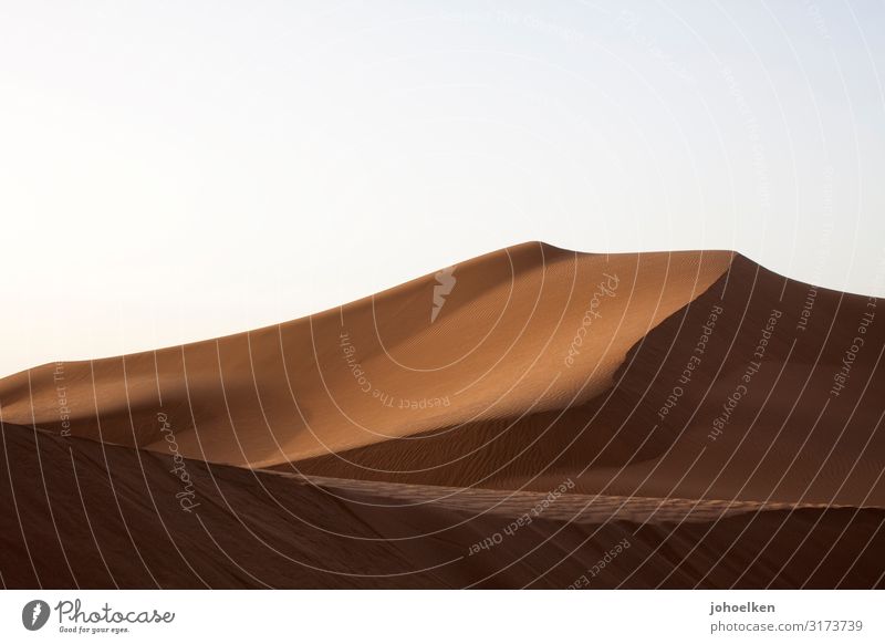 Sandburg I Landscape Sky Cloudless sky Sunlight Desert Sahara Dune Morocco Africa Deserted Hot Dry Warmth Soft Brown Warm-heartedness Thrifty Vacation & Travel