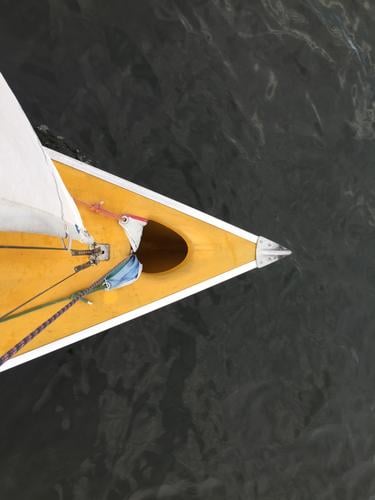 Yellow sailboat bow Lifestyle Leisure and hobbies Sailing Adventure Summer Waves Lake Sports Aquatics Watercraft Yacht Driving Happiness Maritime Athletic dyas