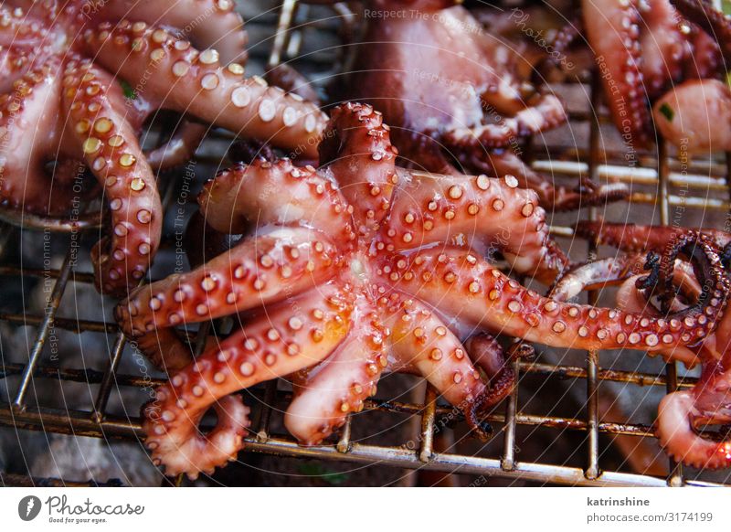 Grilled octopuses cooking on a metal grill close up Seafood Dinner Summer Delicious barbecue bbq Raw fire Smoked Italian barbeque Tasty Exterior shot Close-up