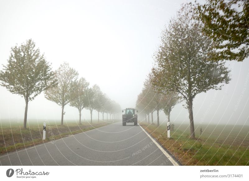 Tractors in the fog Avenue Haze Direct Right ahead Autumn Autumnal colours Landscape Country road Deserted Morning Fog Perspective Far-off places Street