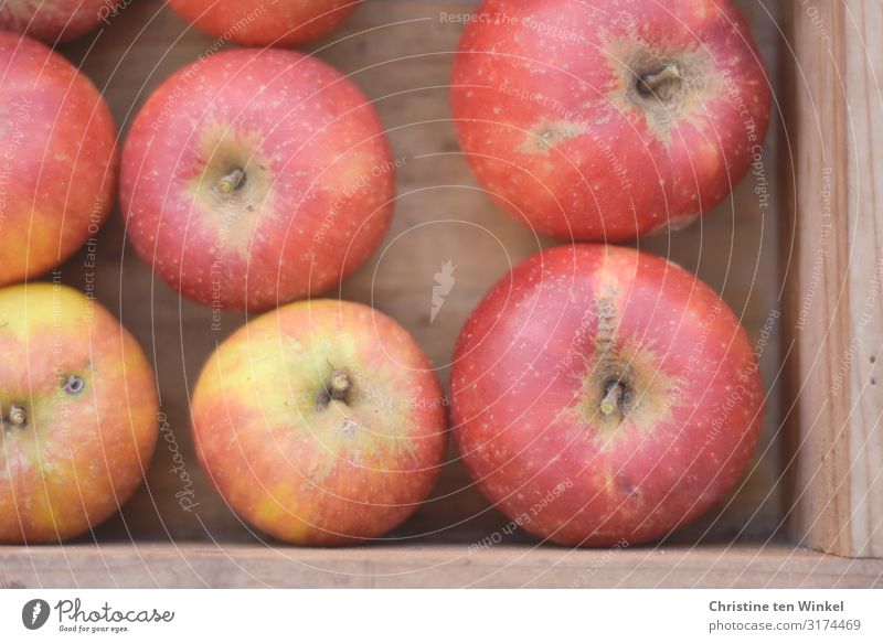 Delicious red apples in a wooden box Food Fruit Apple Cox Orange Nutrition Organic produce Vegetarian diet Box Esthetic Authentic Simple Fresh Healthy