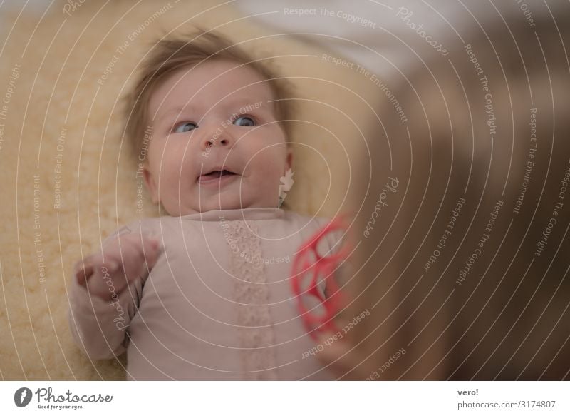 keep tabs on sb./sth. Baby Girl Head 2 Human being 0 - 12 months Brunette Short-haired Toys Observe Discover Smiling Illuminate Looking Playing Friendliness