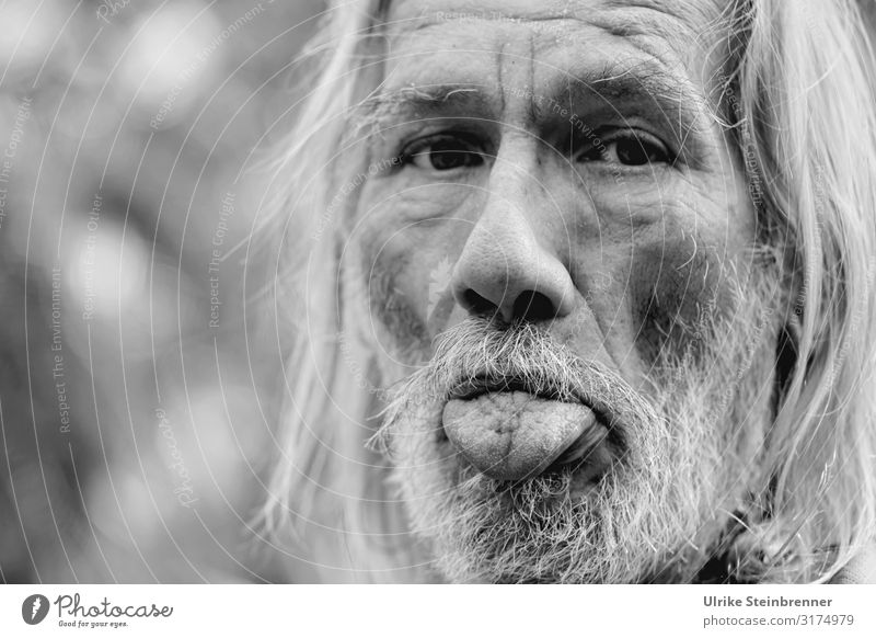 Old man with long gray hair sticks out his tongue Human being Masculine Man Adults Male senior Senior citizen Life Head Hair and hairstyles Face Nose Mouth
