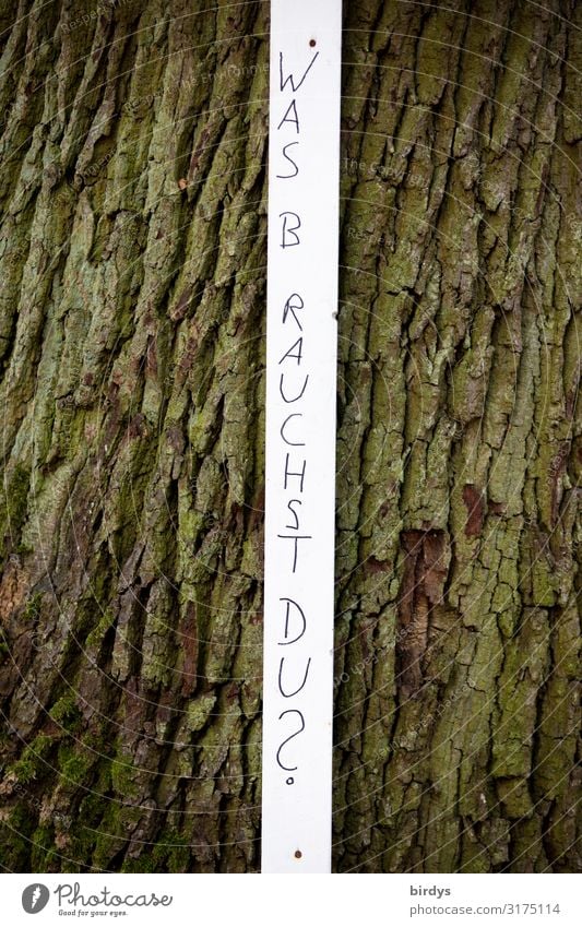 What do you need? Tree Tree bark Characters Signs and labeling Stripe Simple Curiosity Thin Brown Black White Desire Dedication Humanity Solidarity Help