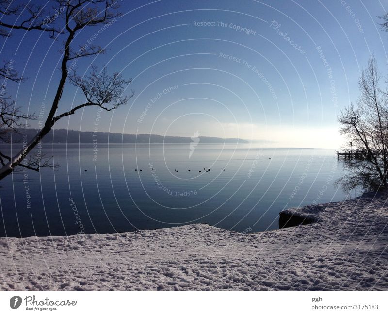 Fog over Lake Starnberg Sun Winter Ice Frost Lakeside Deserted Navigation Water Breathe Think Going Looking Hiking Free Beautiful Blue White Discover Relaxation