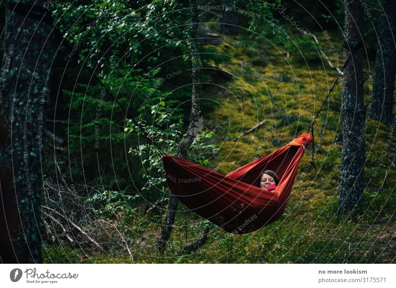 no trees, no hammock Environment Nature Landscape Plant Climate Climate change Moss Forest Breathe To enjoy Hang To swing Sleep Dream Sustainability Natural