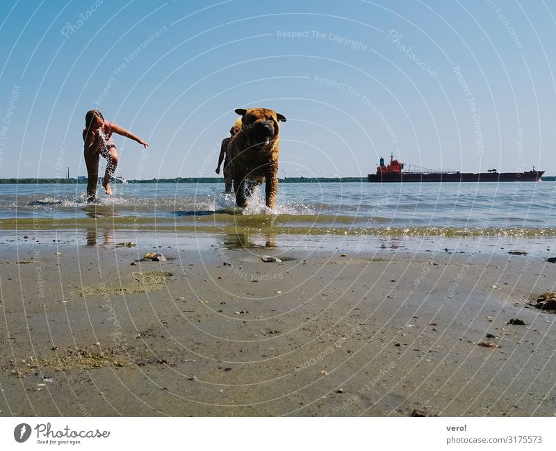 Child and dog in water Leisure and hobbies Summer vacation Girl Water Cloudless sky River bank Dog 1 Animal Sand Swimming & Bathing To enjoy Running Romp