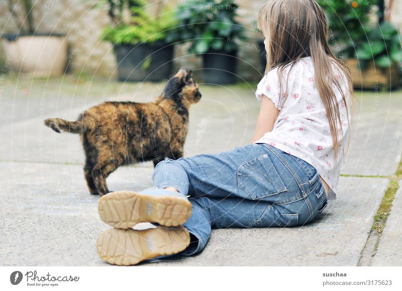 girl with a street cat on the farm Courtyard Farm rural Child Cat Domestic cat Street cat Pet Free-living look at contact pavement Asphalt Summer Sit Lie