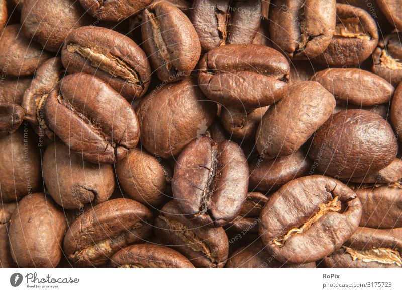 Close up of coffee beans. Beverage Hot drink Coffee Latte macchiato Espresso arrabica robusta Beans Lifestyle Style Design Healthy Healthy Eating Harmonious
