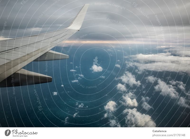 View of the sea through the airplane window Environment Landscape Elements Water Sky Clouds Horizon Bad weather Aviation Airplane Passenger plane