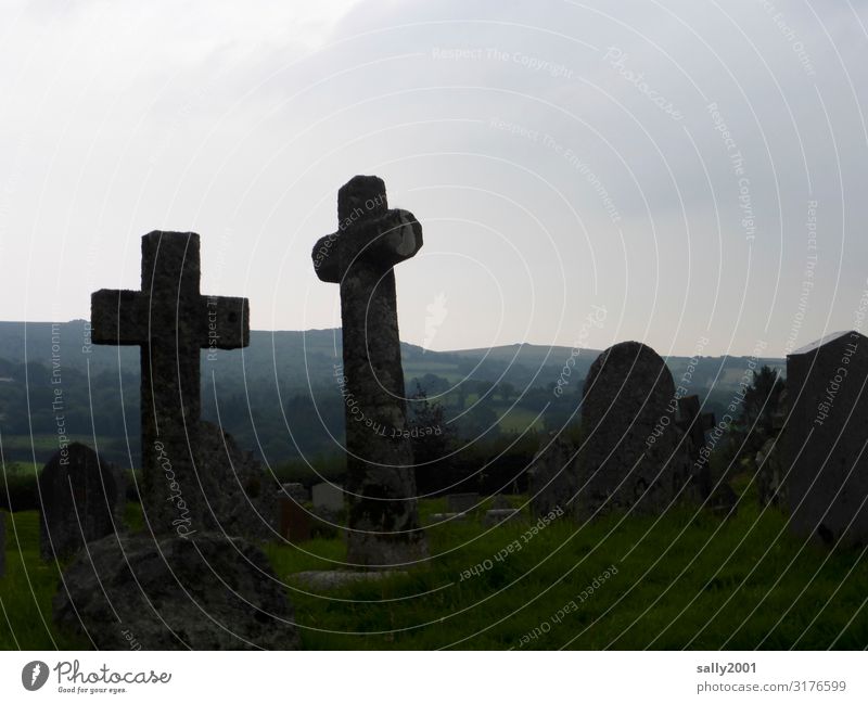 peaceful... Cemetery Tombstone Crucifix symbol Stone Stone cross Death weaker Belief Christian cross Sadness tranquillity Peaceful Calm Religion and faith