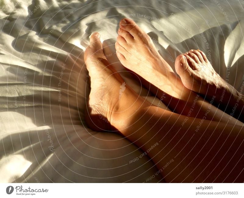 Skin thing | footrest... Living or residing Bed Bedroom Feminine Friendship Couple Feet 2 Human being Touch Relaxation Communicate Lie Esthetic Eroticism