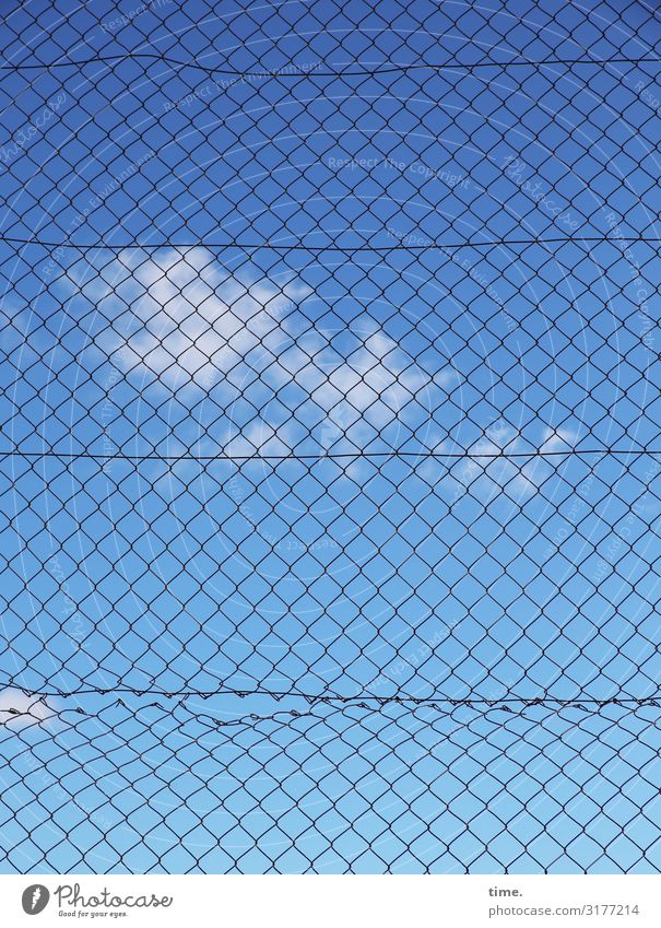 Stories from the fence (III) Sky Clouds Beautiful weather Fence Wire netting fence Metal Line Net Network Broken Trashy Blue Safety Protection Life Orderliness