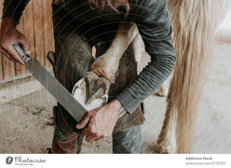 Man shoeing horse near stable Blacksmith Horseshoe Stable Ranch Hammer putting on Work and employment Hoof Tool Iron Animal farrier Equipment Profession skill