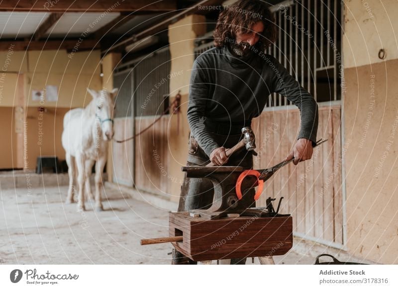 Blacksmith forging horseshoe near stable farrier Forge Horseshoe Stable Ranch Anvil Craft (trade) Iron Hammer tongs Hot Man Adults Professional Barn Farm Stall