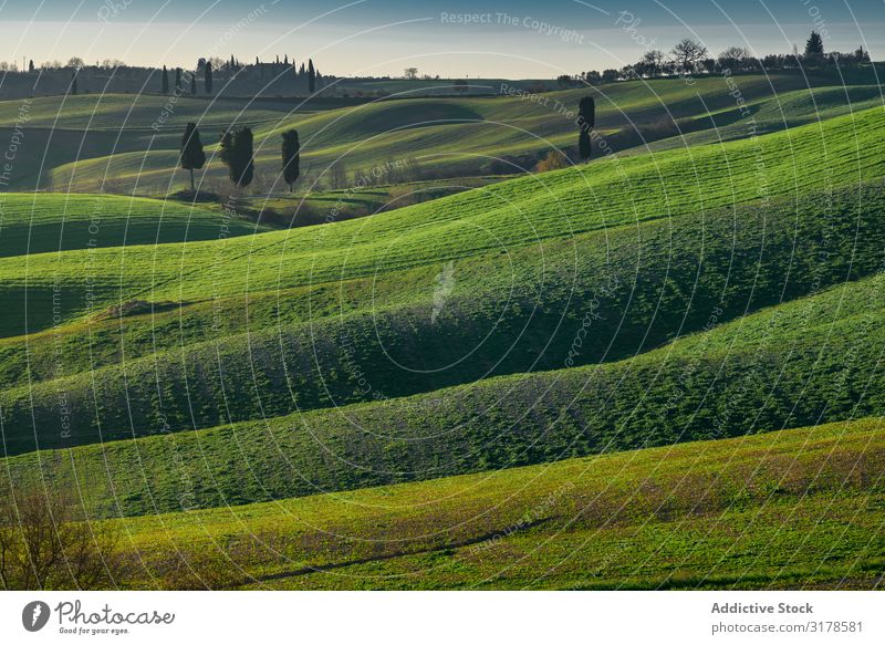 Wonderful empty green fields Field Green Panorama (Format) Tuscany Highlands Italy Infinity Grass Hill Landscape Nature Countries Seasons Summer Meadow