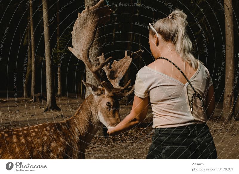 L and the stag Leisure and hobbies Trip Young woman Youth (Young adults) Nature Landscape Autumn Beautiful weather Forest T-shirt Eyeglasses Wild animal Deer