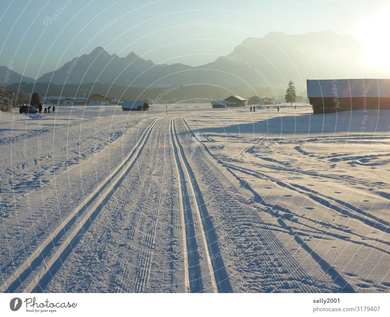 Winter sports fairy tale... Sports Cross country skiing Cross-country ski trail Landscape Cloudless sky Sunrise Sunset Sunlight Beautiful weather Snow Alps