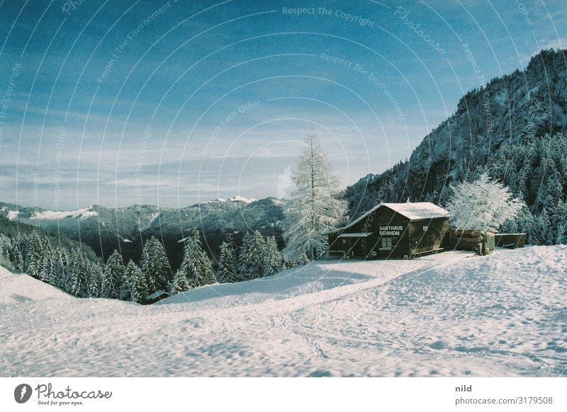 Winter landscape in the Alps Ski resort Closed Cold Copy Space Landscape Snow Weather Deserted Exterior shot Loneliness Tourism Skiing Winter sports