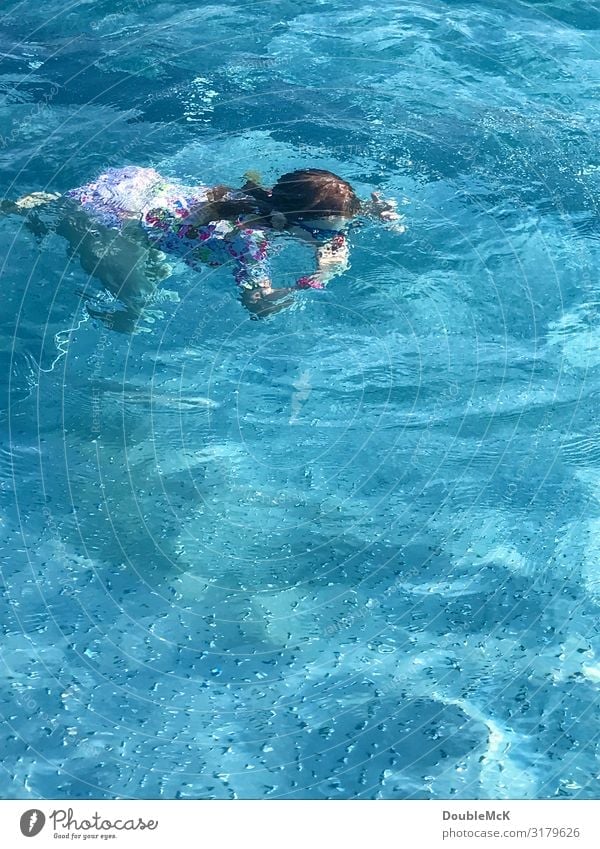 Girl dives under water and holds her nose Swimming pool Swimming & Bathing Summer Human being Feminine Child Infancy 1 3 - 8 years Dive Wet Warmth Blue Joy