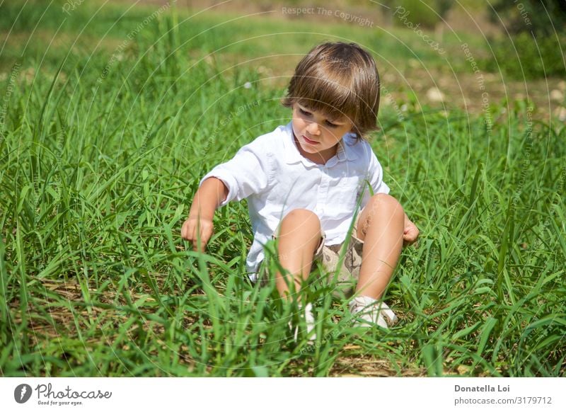 Pretty boy sitting on grass Lifestyle Leisure and hobbies Vacation & Travel Freedom Summer vacation Child Human being Masculine Boy (child) Infancy 1