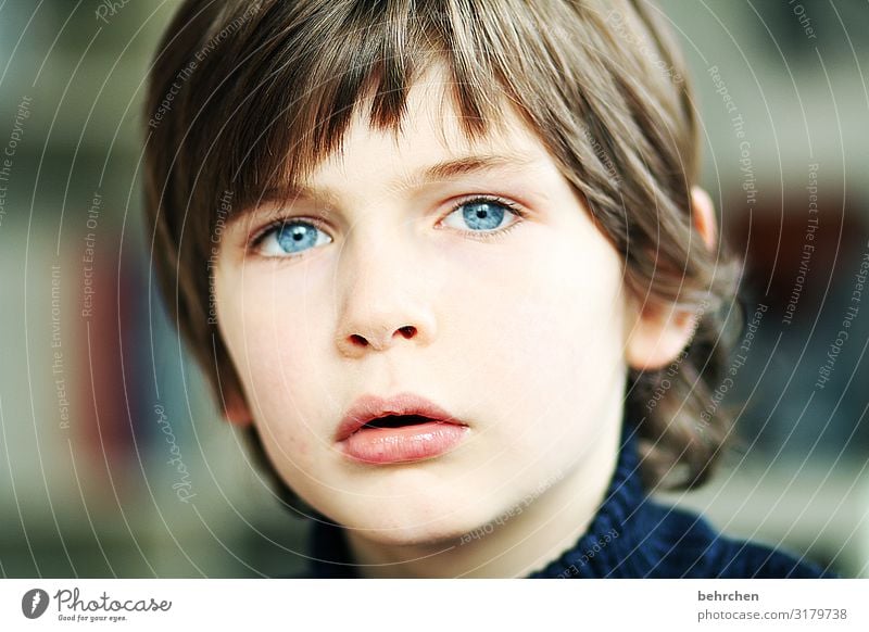 ? Earnest Ambiguous insecurity Sunlight Light Day Longing Meditative Intensive portrait Contrast Concern Face Infancy Child Boy (child) Family & Relations