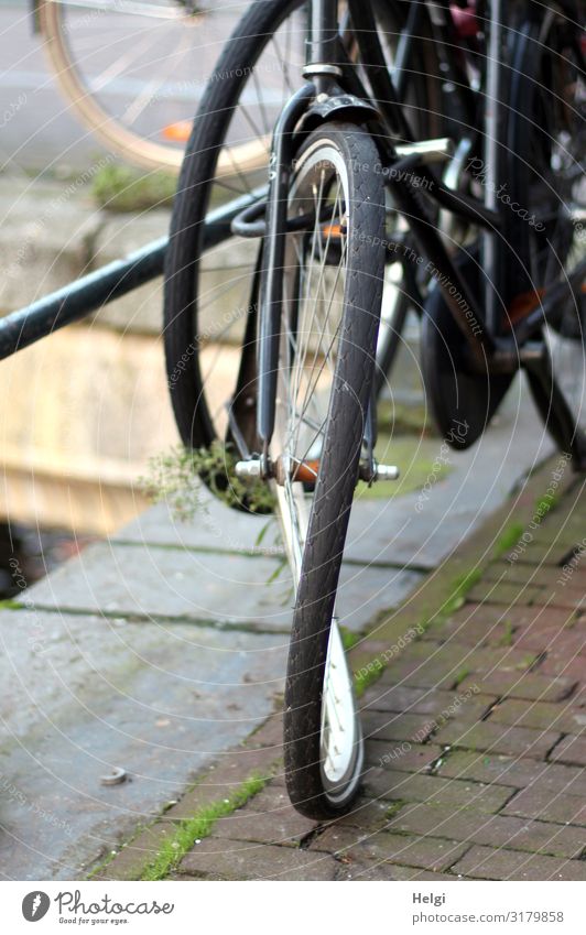 Detail of a broken bicycle with an 8 in the wheel at the roadside Amsterdam Town Street Roadside Bicycle Paving stone Handrail Stone Metal Stand Old Authentic