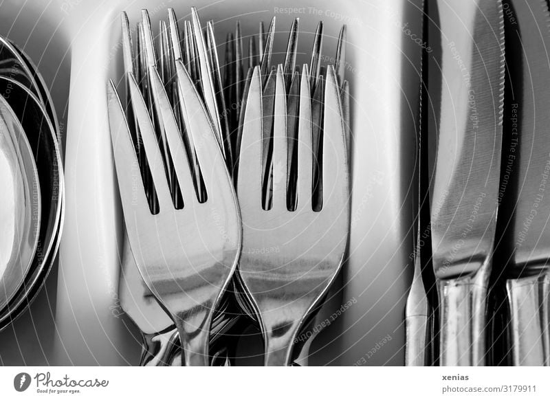 fork, knife, spoon Nutrition Cutlery Knives Fork Spoon Clean Silver White High-grade steel Silverware box Point xenias Subdued colour Studio shot Close-up