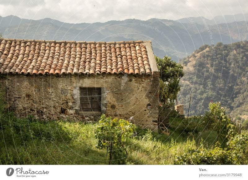 cottages Nature Landscape Sky Grass Bushes Garden Meadow Hill Mountain Sicily Italy Village Hut Wall (barrier) Wall (building) Window Roof Authentic Beautiful